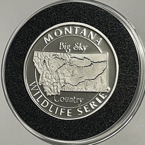 Mallard Montana Big Sky Country Rare Proof Coin 2 Troy Oz .999 Fine Silver Round - Picture 8 of 18