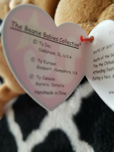 TY Beanie Baby Tiny The Chihuahua Dog With Errors *Rare* Excellent Condition! - Picture 9 of 12