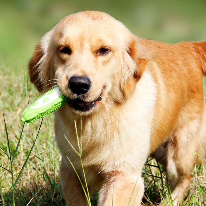 New Dog Quality PU and Nylon Puppy Toy Chewing Bite Resistant Teeth Grinding - Image 2 of 4