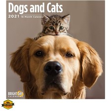 bark Collar Dog bark Collar 2021 Dogs and Cats