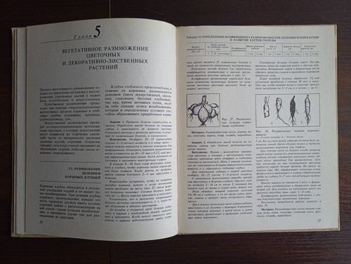 1987 Soviet Book Textbook Floriculture ЦВЕТОВОДСТВО Практикум В.А. Бунин - Picture 10 of 20