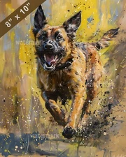 Belgian Malinois running with excitement painting 8x10 Print