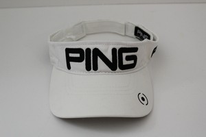 ping visor