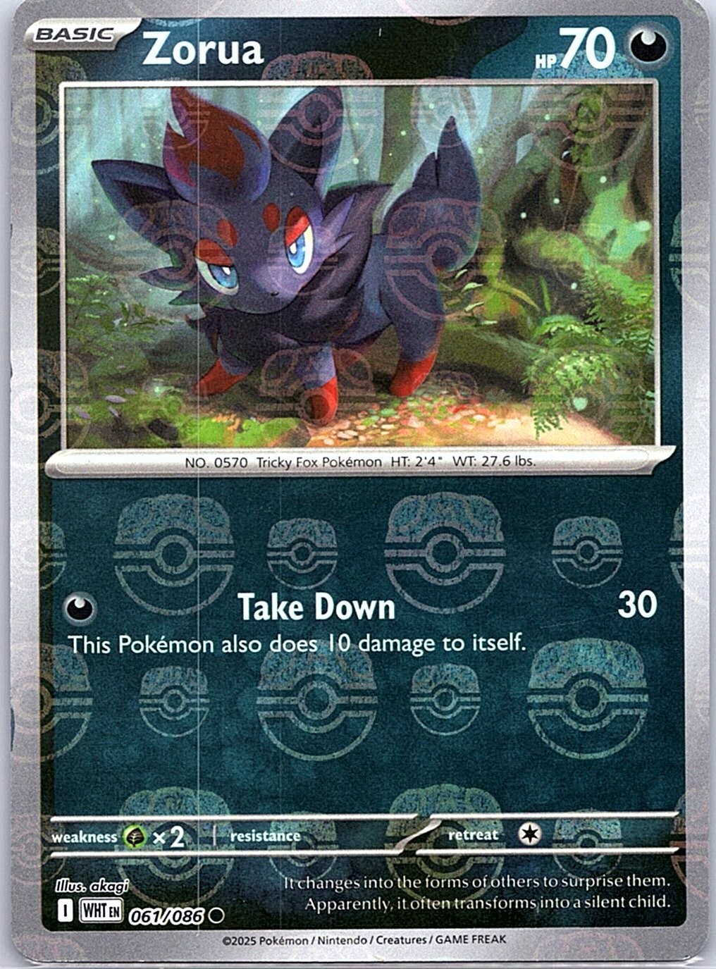 Zorua Master Ball 061/086 SV: White Flare - Pokemon Card - NM