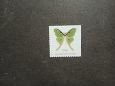 US SC# 6031 Luna Moth  $1.27 single from 2025.  MNH