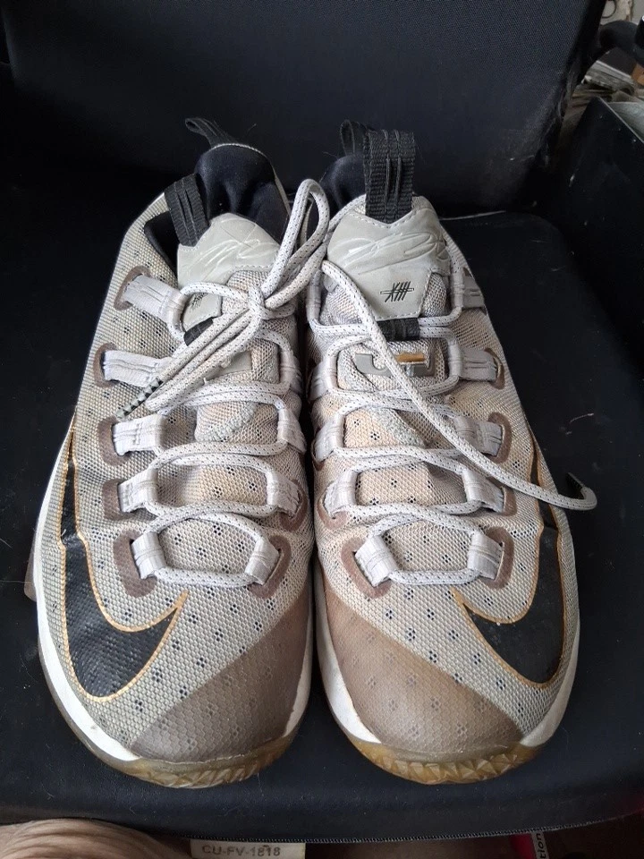 Nike LeBron 13 Elite Limited Game Time for Sale | Authenticity