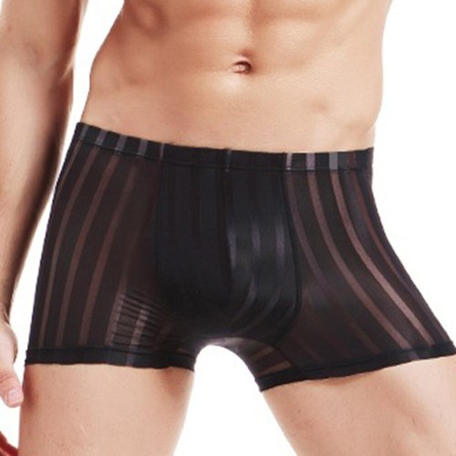 Sexy Men Clear Boxer Ice Silk Shorts Sheer Mesh Pouch Striped Lingerie L-3XL - Picture 3 of 16