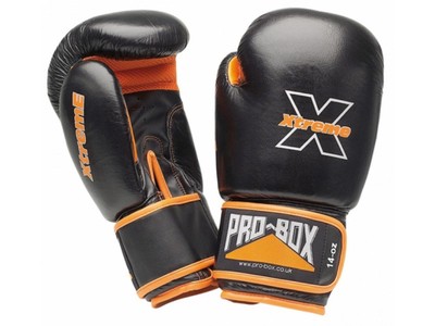 best boxing gloves for mitt work
