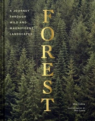Matt Collins Forest (Gebundene Ausgabe)