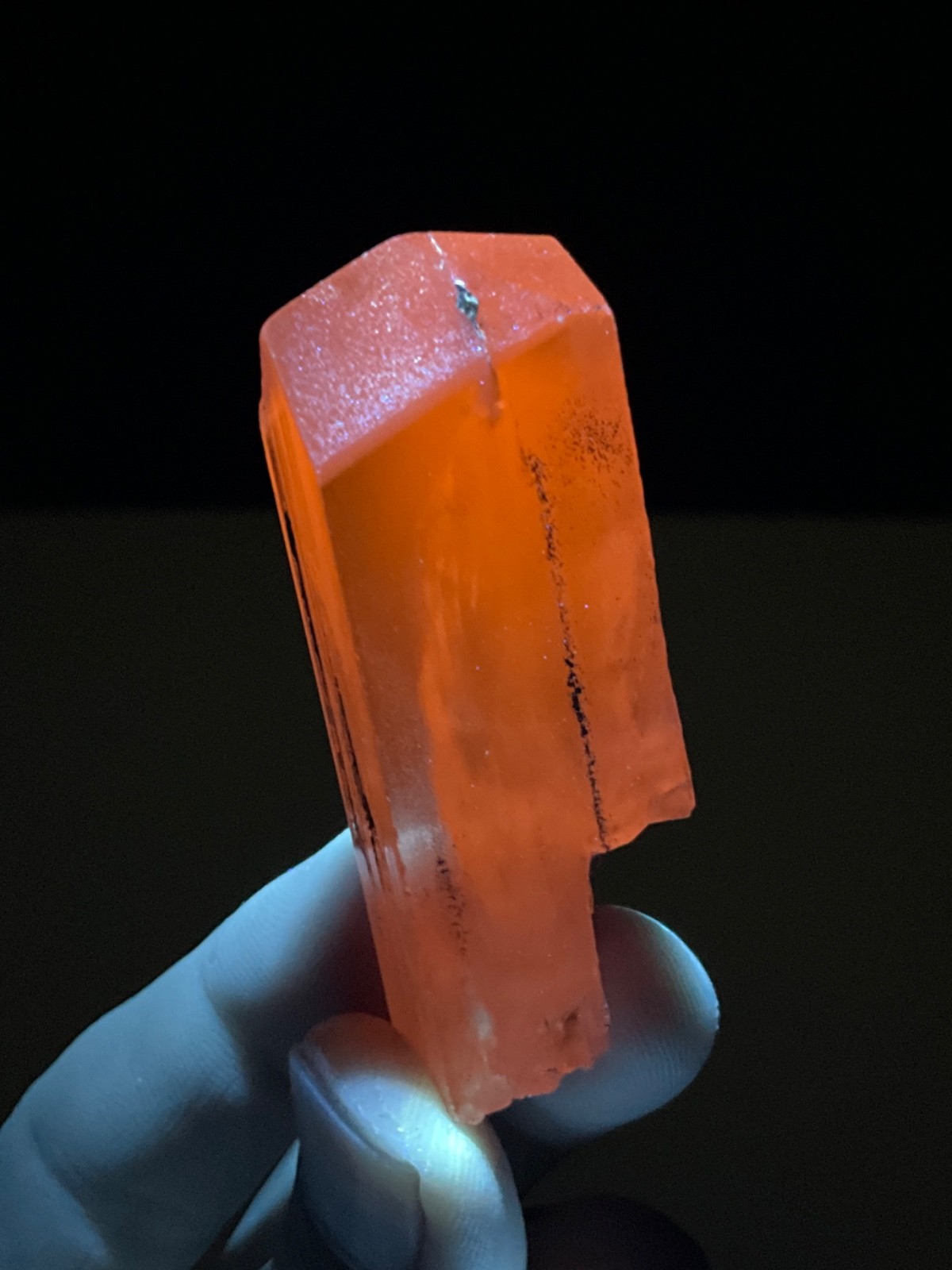 Foto 1 di 12