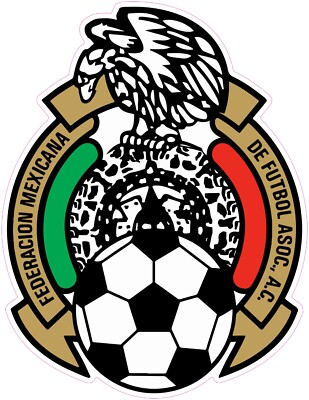 (NOT A PATCH) Mexico National Soccer Team Logo HTV Heat Transfer Vinyl Iron On