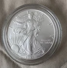 2007 W Burnished Silver American Eagle  1 Ounce Uncirculated Coin         (2060)
