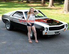 SUPER HOT BUSTY LEGGY Car Babe & 1969 AMC AMX "Pin-UP" PHOTO! #(916b)