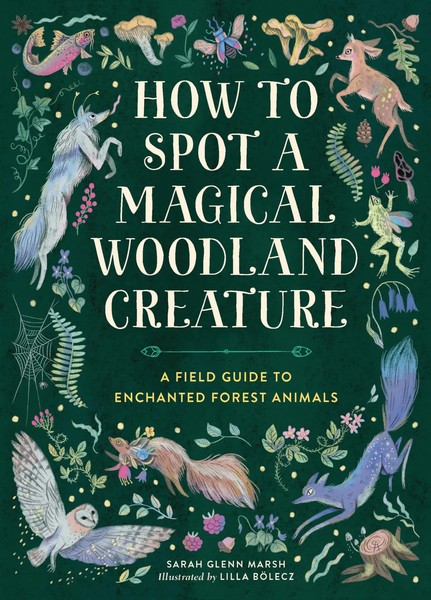 How To Spot A Magical Woodland Creature Sarah Glenn Marsh Buch Englisch 2025-image