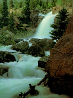 ALBERTA FALLS POSTCARD   ROCKY MTN NATIONAL PARK   DWAYNE EASTERLING