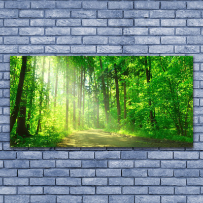 Wandbilder Glasbilder Druck auf Glas 140x70 Wald Natur