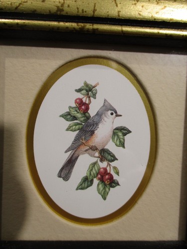 Birds Kirkland's 8 Eight A Kathy Seek Small Framed Set Sz 4" x 4"x 3/8" - Picture 3 of 17