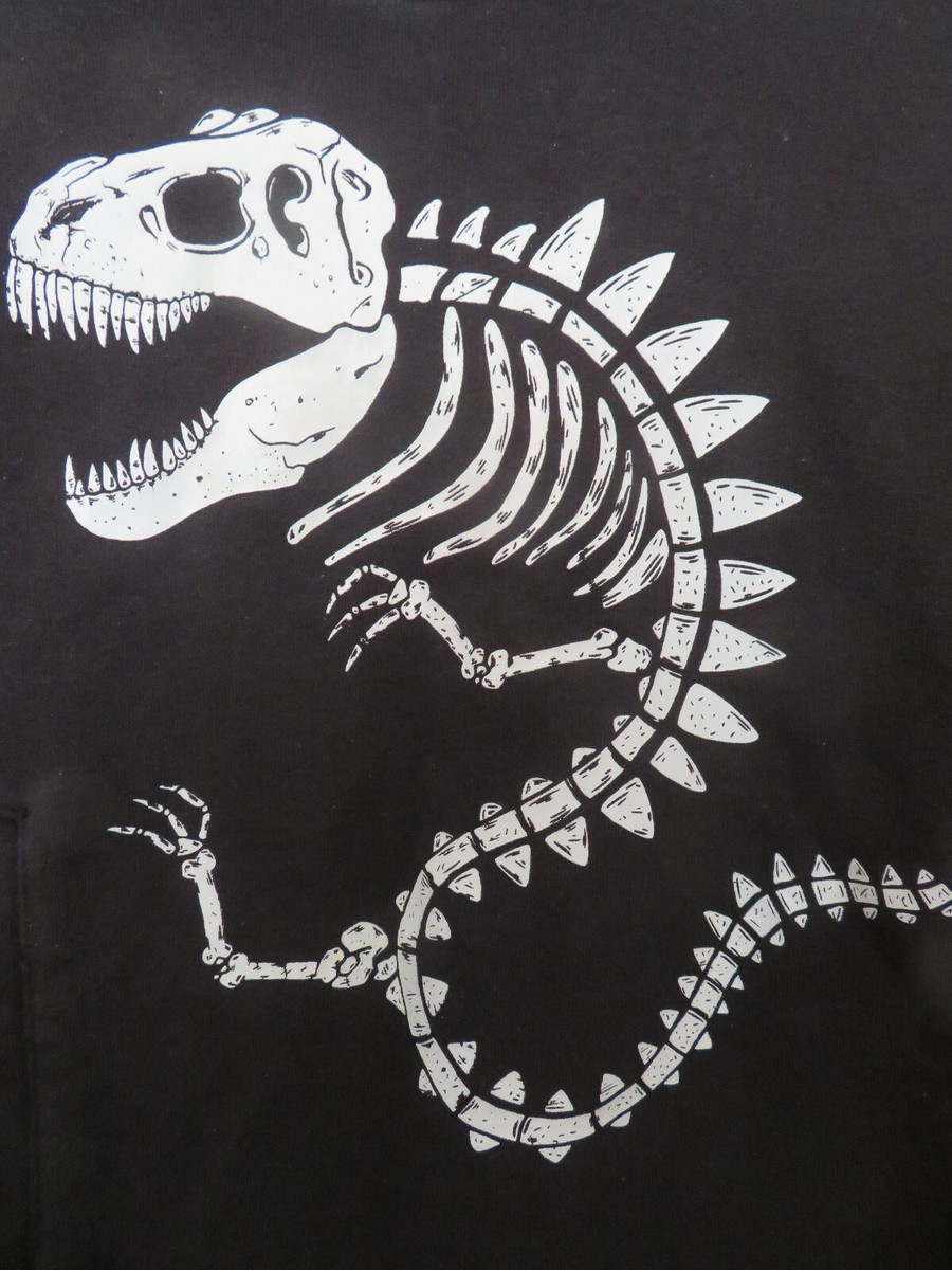 Jurassic World Dinosaur T-Rex Toddler Boys Fleece Pullover Hoodie Black 5T