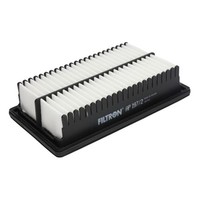 Luftfilter Filtron AP 197/2