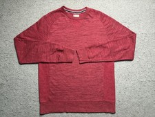 Champion Sweatshirt Mens Medium Red Heather Raglan Crewneck Knit Pullover