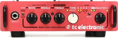 TC Electronic BH250 250-watt Compact Bass Head (2-pack) Bundle