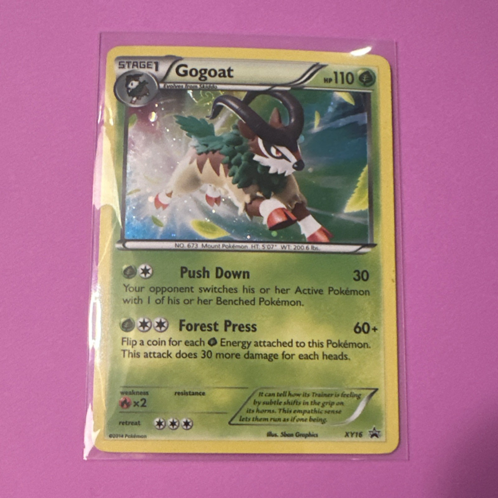 Gogoat XY16 XY 2014 Stage 1 Holo Promo 5ban Graphics Pokémon TCG