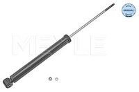 2X Meyle StoßDäMpfer Hinterachse U.A. FüR CitroËN, Peugeot, Toyota