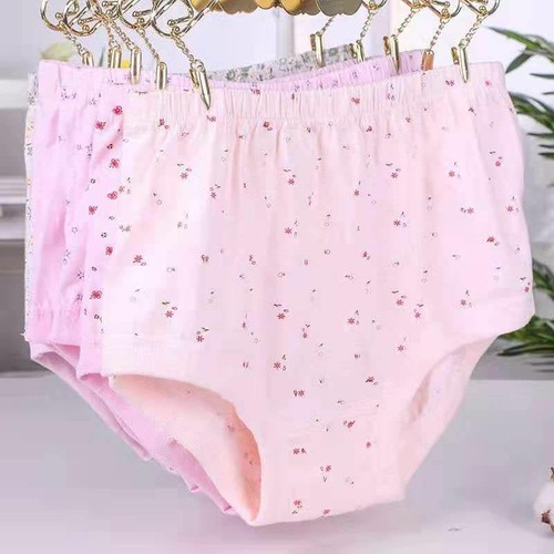 4 Pack Women Underwear High Waist Cotton Breathable Full Coverage Panties Briefs - Picture 7 of 9
