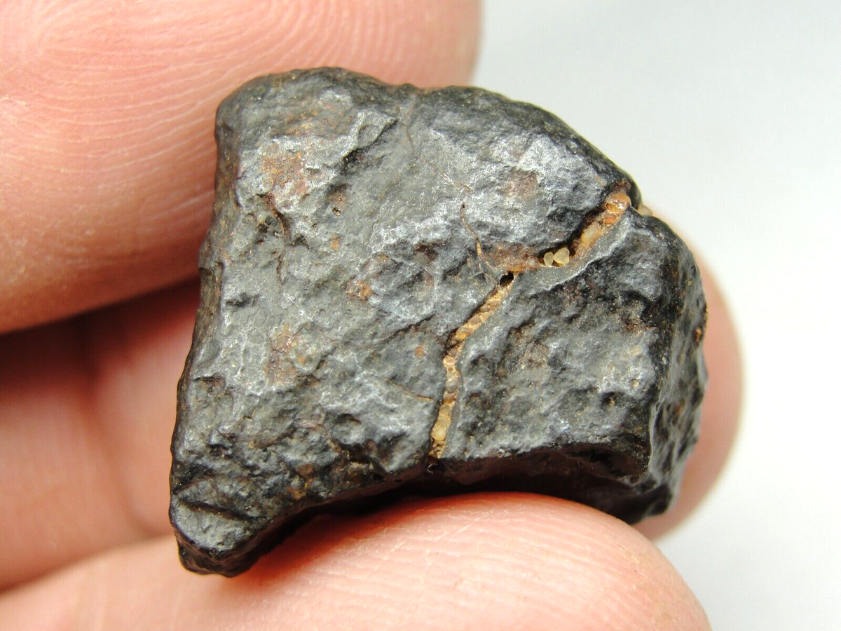 小物 nwa NWA 2949 Meteorite | 20 Gr | End Cut | Rare Crusted Eucrite