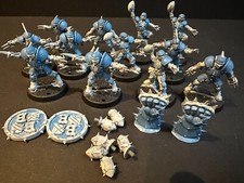 Blood Bowl Reikland Reavers Human Team + Decals