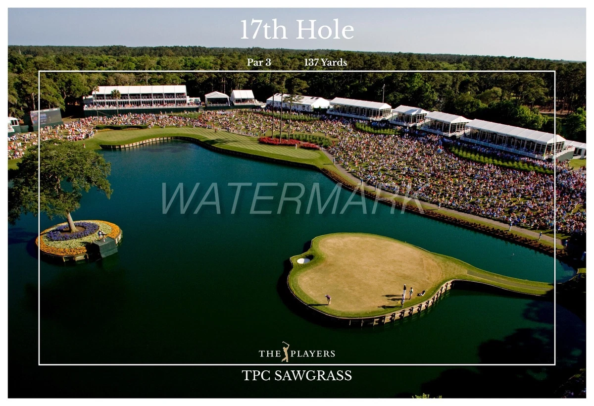 FAMED 17TH HOLE THE ISLAND GREEN AT TPC SAWGRASS 19 x13 COMMEMORATIVE POS