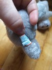Foto 10 di 12