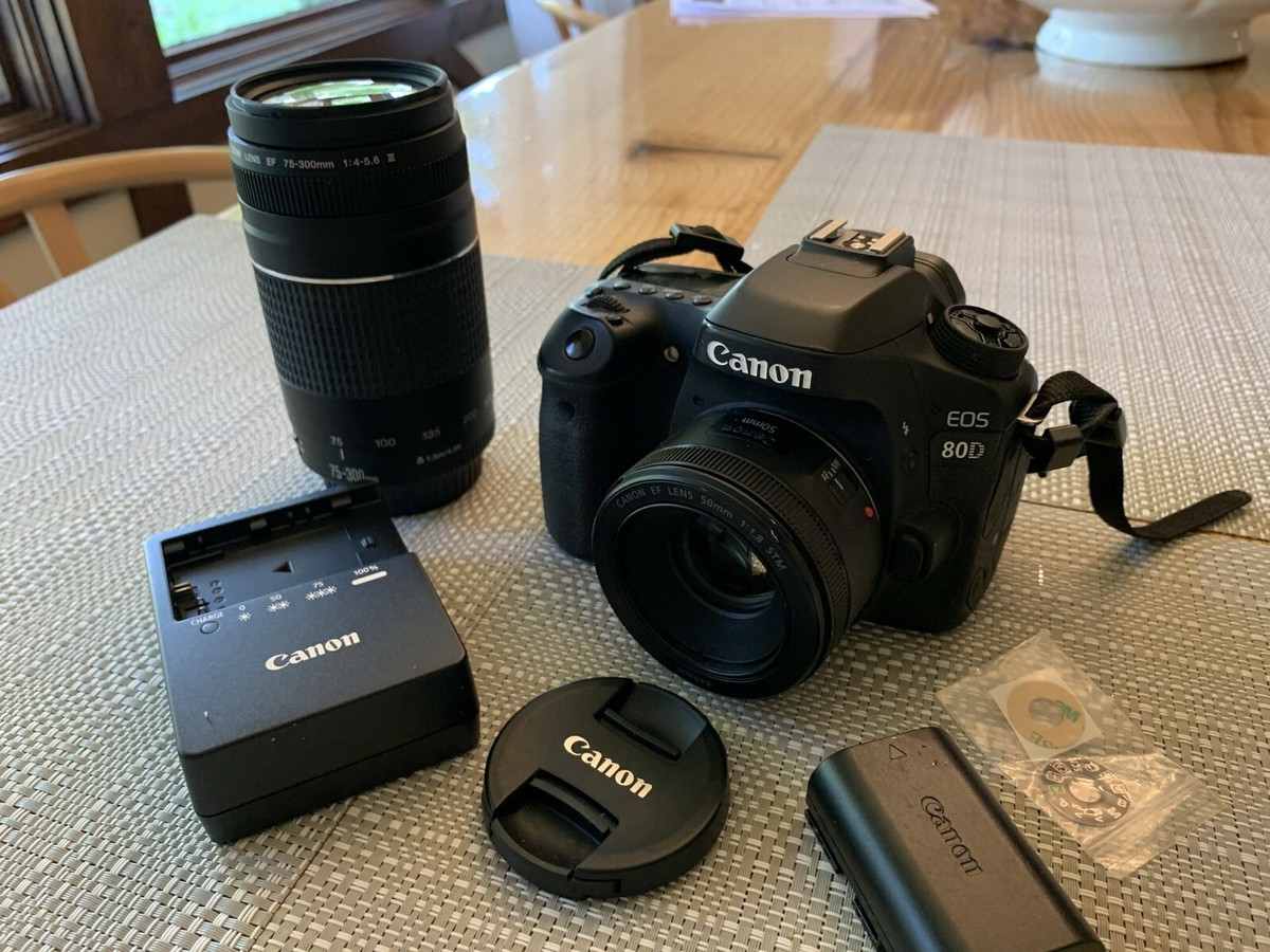 Canon 80d Canon 6d Clean Hdmi Camera Canon EOS 80D PhotoSynthesis