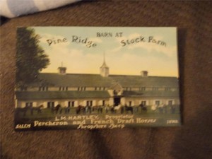 Salem Ia Early 1900s Ad Postcard Barn At Pine Ridge Stock Farm