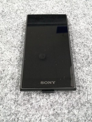 Sony Walkman NW-A100TPS 40th Anniversary Limited Hi-Res Audio