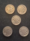 5 Nice Vintage 1921 Buffalo Nickel Coin Collection