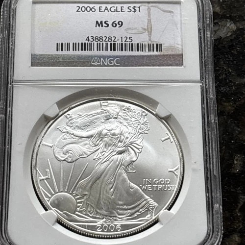2006 $1 American  🇱🇷 Silver Eagle 🦅   NGC MS69 Brown Label