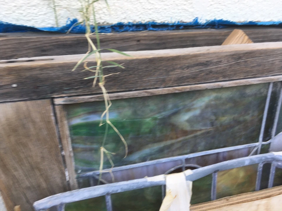 puertas de entrada vitrales antiguas Foto 2 de 3