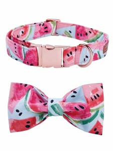 watermelon cat collar