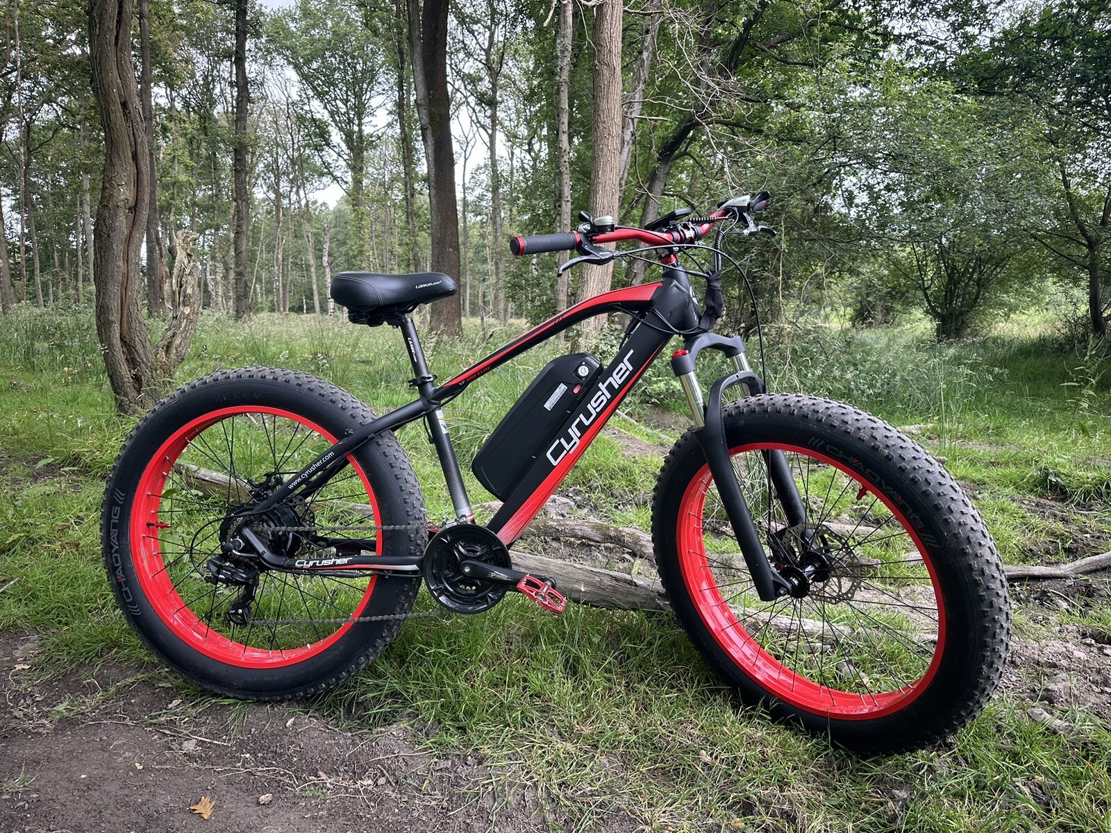 Electric Fat Tyre Bike swaps eBay