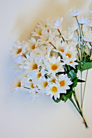 12 Stiele GäNseblüMchen BlüTe Landhaus Deko Kunstblume Margeriten Blumen Kamille