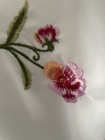 Bild 3 von 11