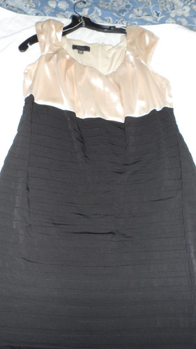 "Collection" by Dress Barn Dress Size 14 Champayne and Black Color
