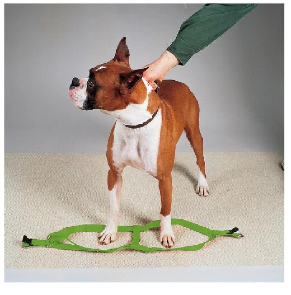 Dog Harness Easy to Use 2 Step Secure Safe Comfortable Firm No Struggle Control