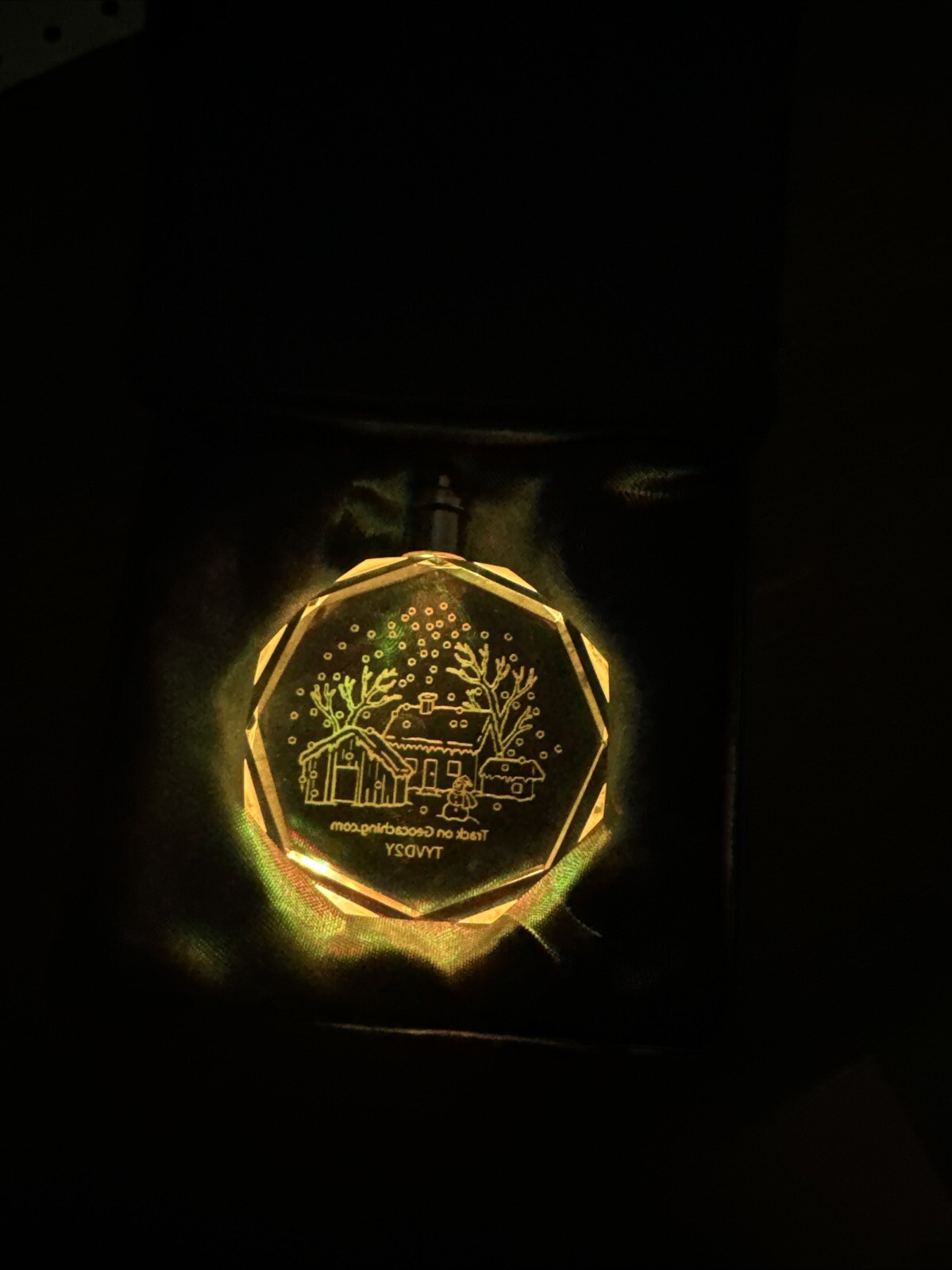 9441- Christmas 2016 Crystal Geo Coin Changed Colors – FUNAAB Zoo Park