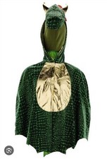 Lily & Dan Dragon Costume Kids World Book Day Halloween Age 3-4 Fancy Dress New