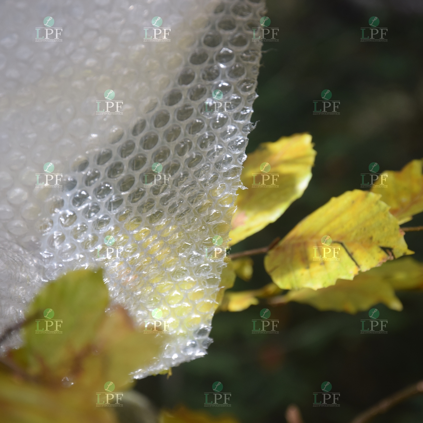 LUFTPOLSTERFOLIE 30CM 50CM 100cm 120cm x100m Polsterfolie Blasenfolie Knallfolie EUR 39,95