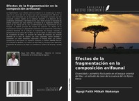 Ngugi Faith Milkah Wakonyo | Efectos De La FragmentacióN En La ComposicióN...