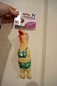 charming pet squawkers