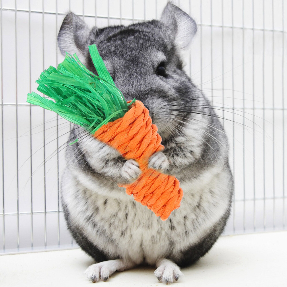 Rat Chewing Toy Rats Bite Toy Birde Parrot Toy Rabbit Chew Log eBay